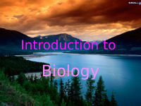 Biology summary notes.pdf